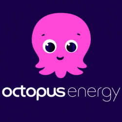 Octopus energía luz y gas
